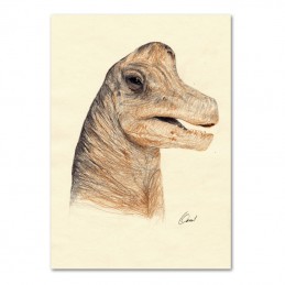 Picture of LAMBEOSAURUS...