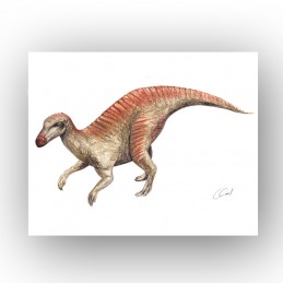 Picture of KRITOZAURUS...