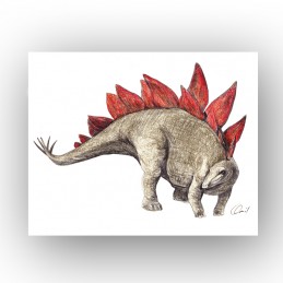 Picture of STEGOSAURUS...