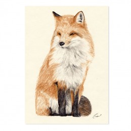 Image of FOX