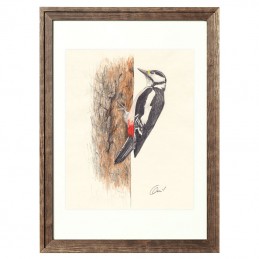 Picture of WOODPECKER