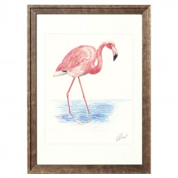 Picture of FLAMINGO