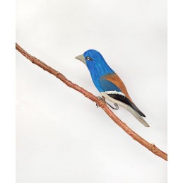 BLUE ROLLER - A Bird From...